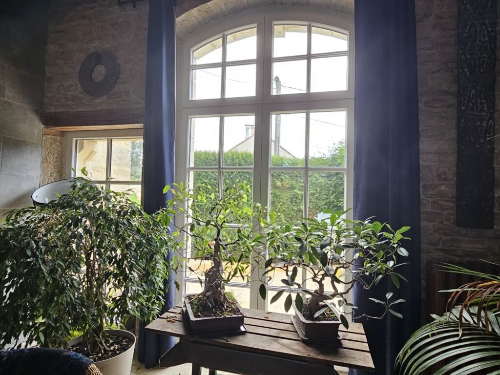 Fenêtre cintrée sur mesure Finstral PVC vue depuis l'intérieur maison en pierre Côte-d'Or, Menuiserie Foultot