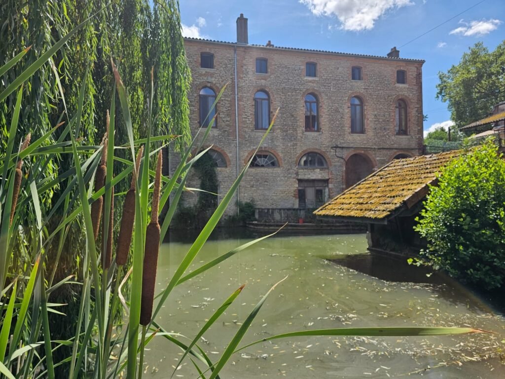 Bâtiment au bord de l'étang à Dijon avec fenêtres Finstral cintrées teinte chêne doré, vue depuis la rive