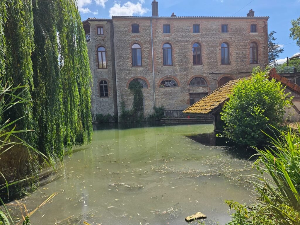 Façade du bâtiment à Dijon au bord de l'étang avec fenêtres Finstral cintrées par la Menuiserie Foultot