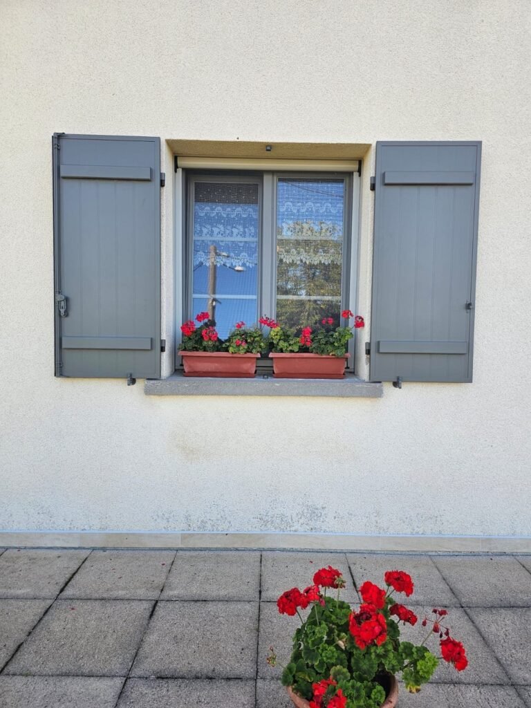 Fenêtre PVC Finstral gris 46 à petits bois intégrés et volets battants aluminium Ehret RAL 7039, vue de face, Champigneulles-en-Bassigny